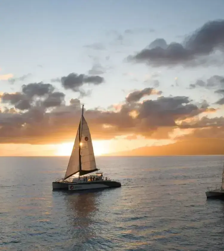 Three sailing catamarans on the ocean at sunset with a partly cloudy sky