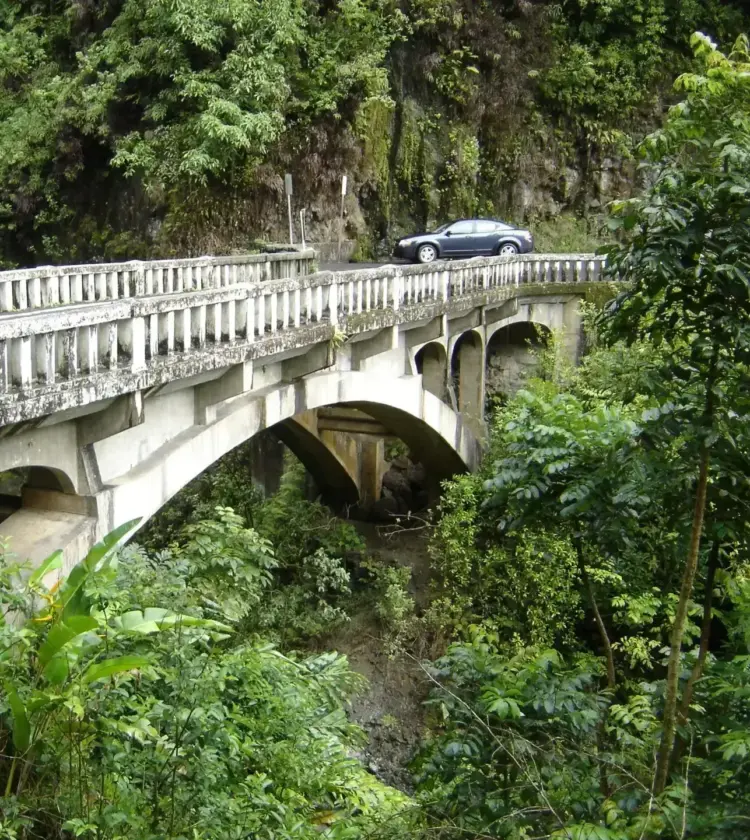 Concrete arch bridge crossing lush green tropical forest with a car parked on the roadway