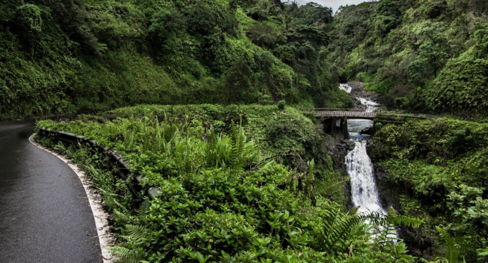 Lush green Hawaiian hillside with a flowing waterfall under a small bridge beside a winding road