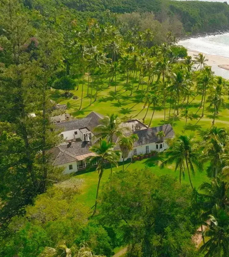 Beachfront estate surrounded by palm trees near a sandy beach and ocean