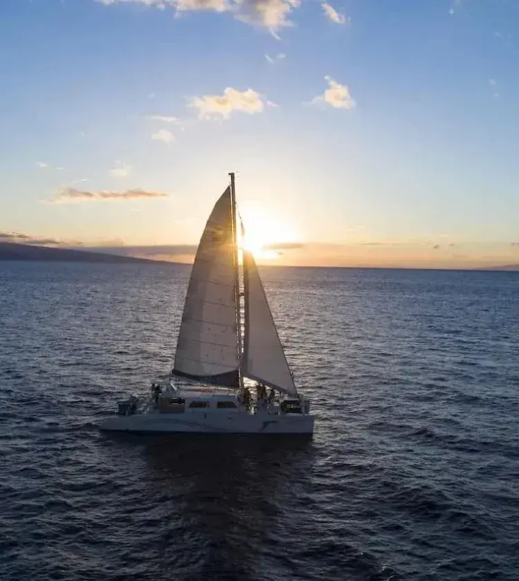 Sailboat sailing on ocean with sun setting behind