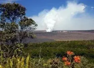 夏威夷：希洛火山之旅（陆地游）