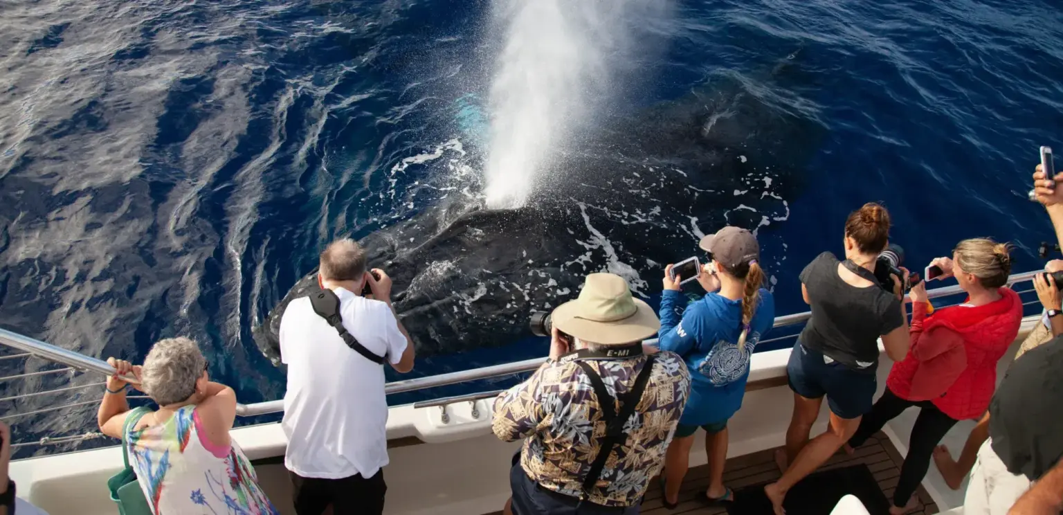 Tourists on boat photographing a whale spouting water in deep blue ocean