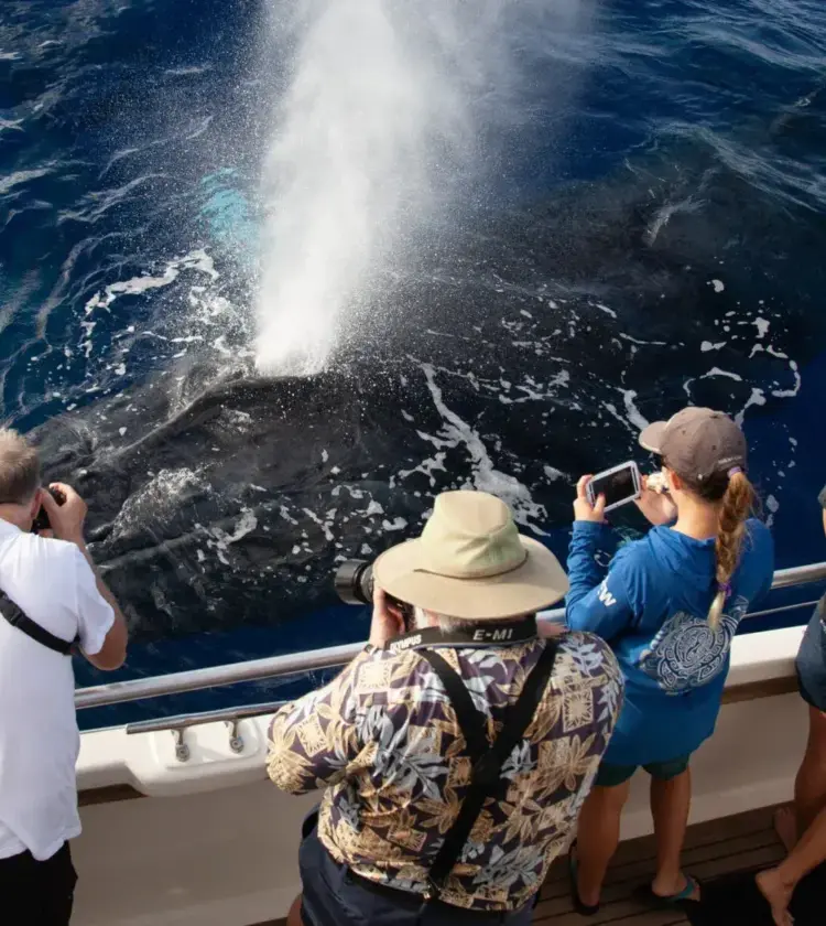 Tourists on boat photographing a whale spouting water in deep blue ocean