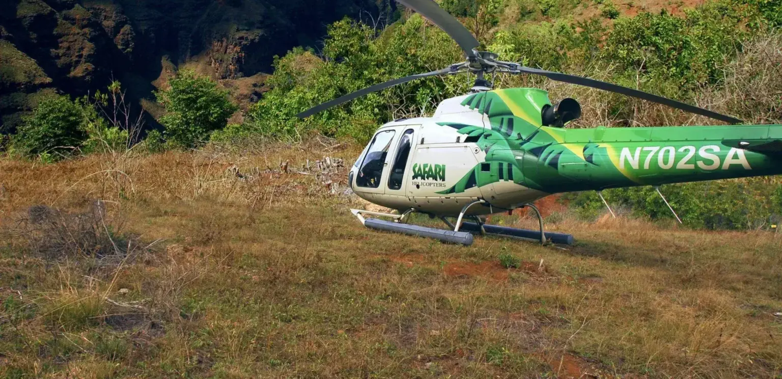 green and white helicopter on grassy field with mountainous backdrop