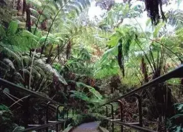 檀香山大环岛游