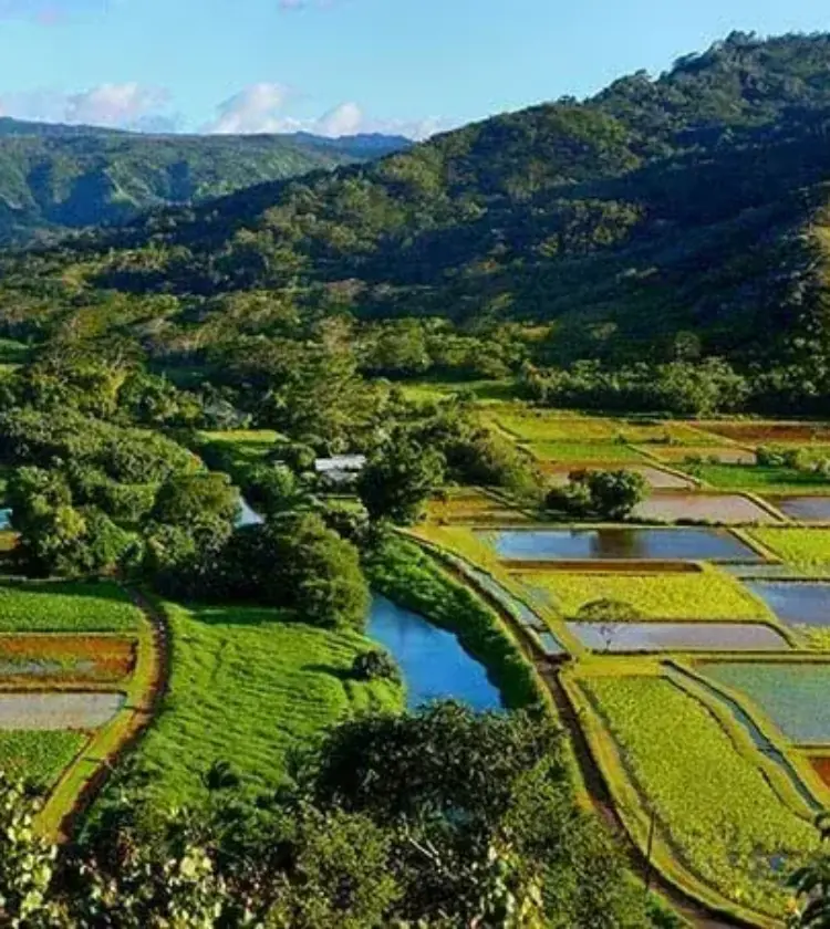 green agricultural valley with river, terraced fields, and mountains under a blue sky