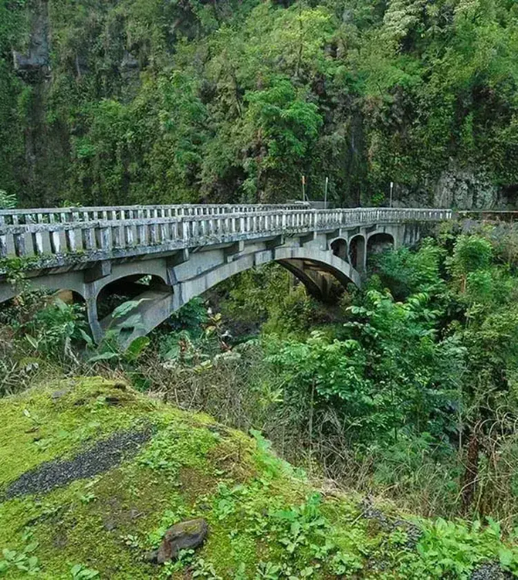 Concrete arched bridge crossing dense tropical green forest