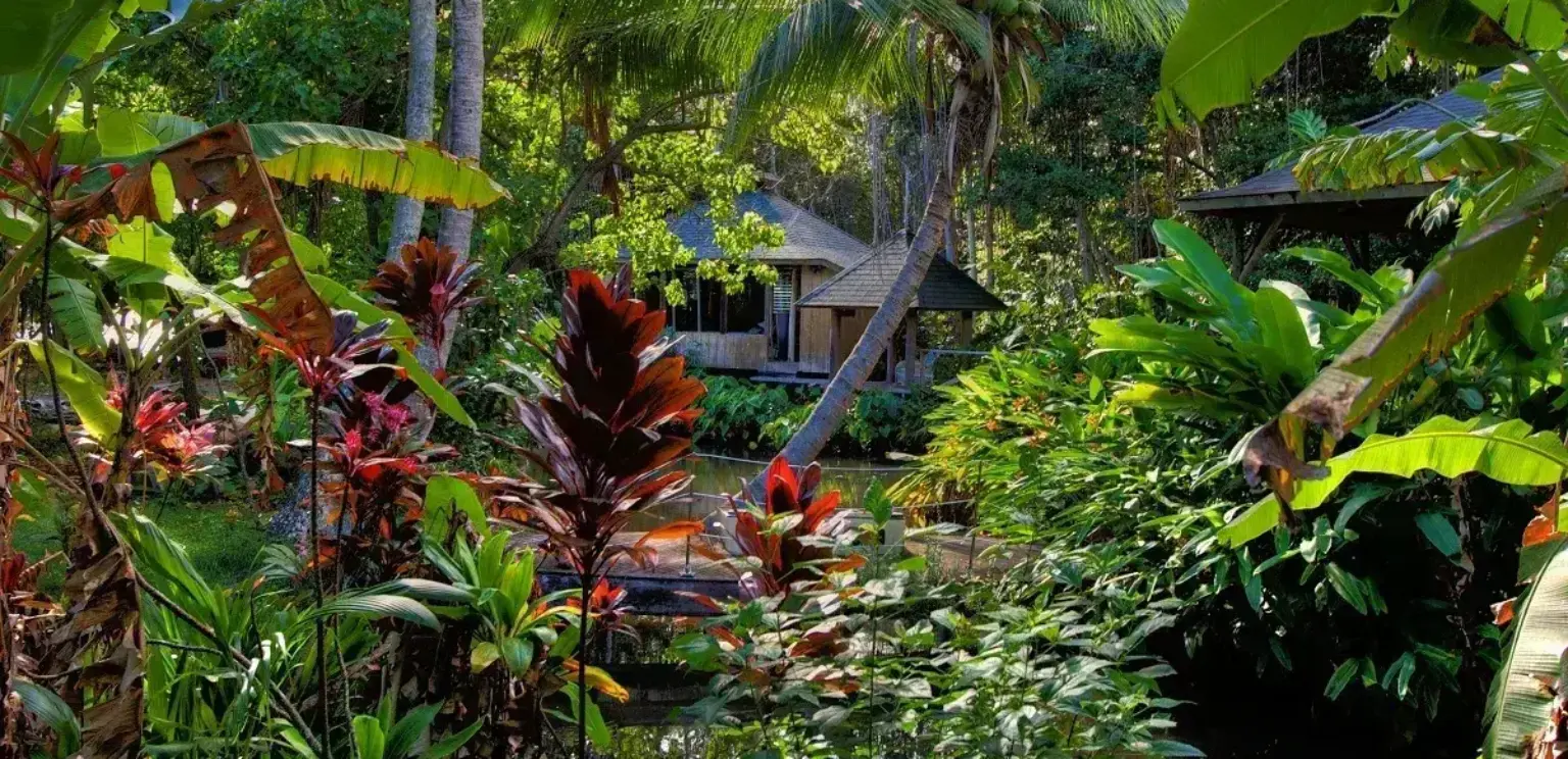 Traditional Hawaiian hut surrounded by lush tropical garden with dense green and red foliage and a small pond